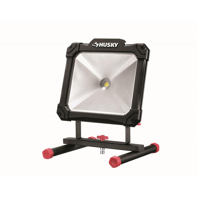 Portable light